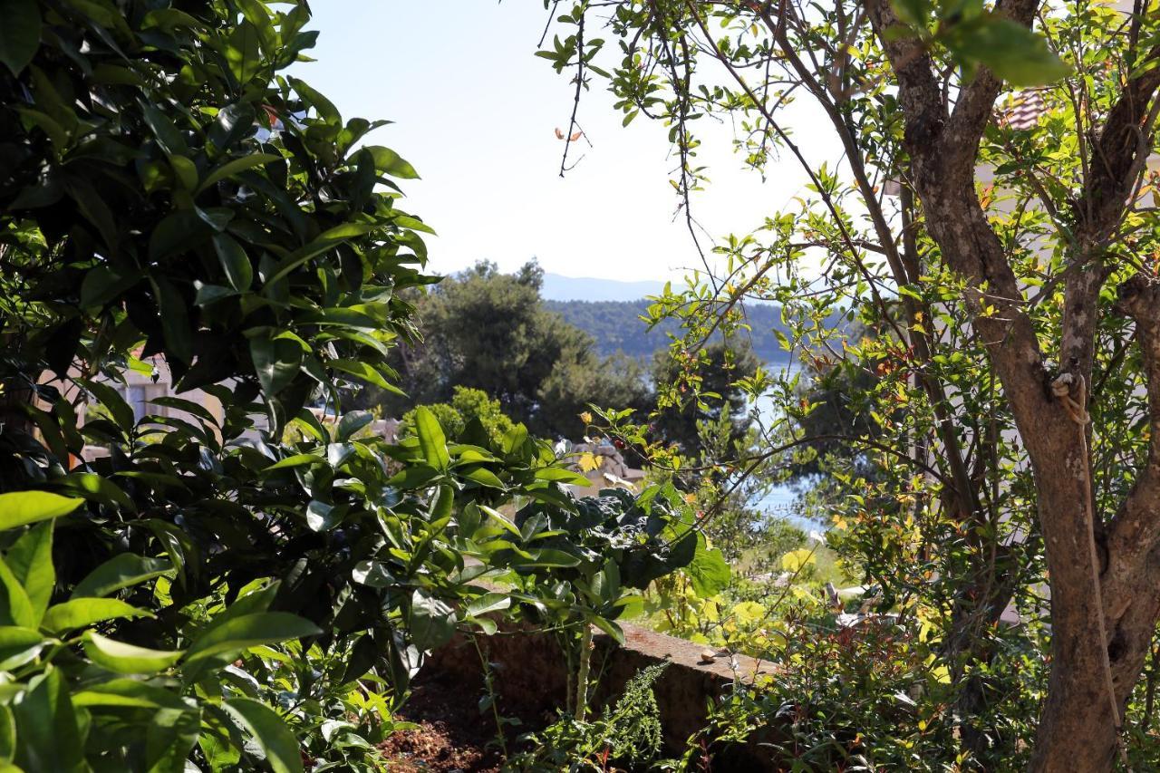 Apartments By The Sea Lumbarda, Korcula - 10049 المظهر الخارجي الصورة
